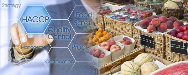 Grafik-zeigt-Kachel-mit-HACCP-sowie-Lebensmittel
